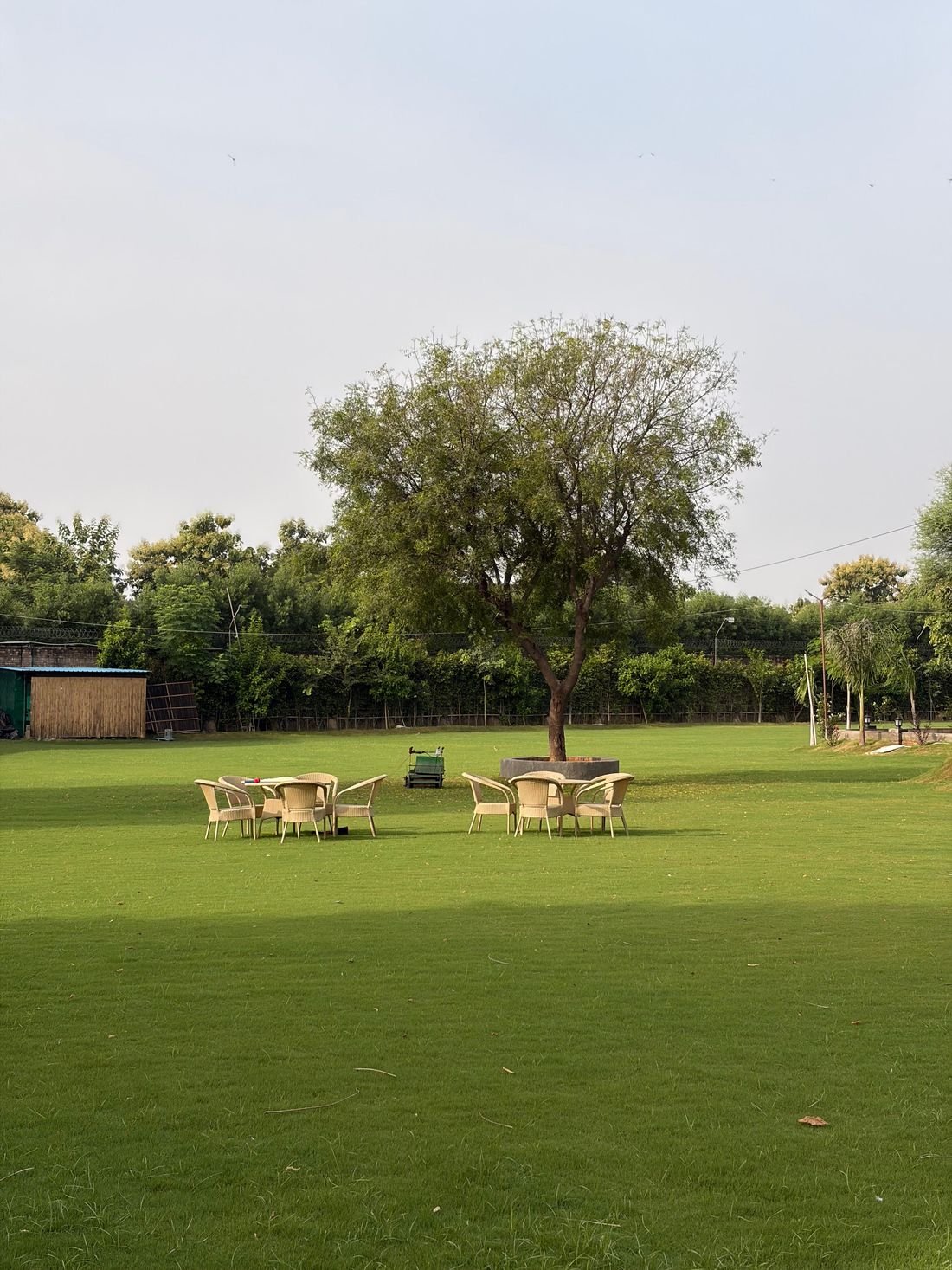 Rolling manicured lawns across the Palmwood Hills estate
