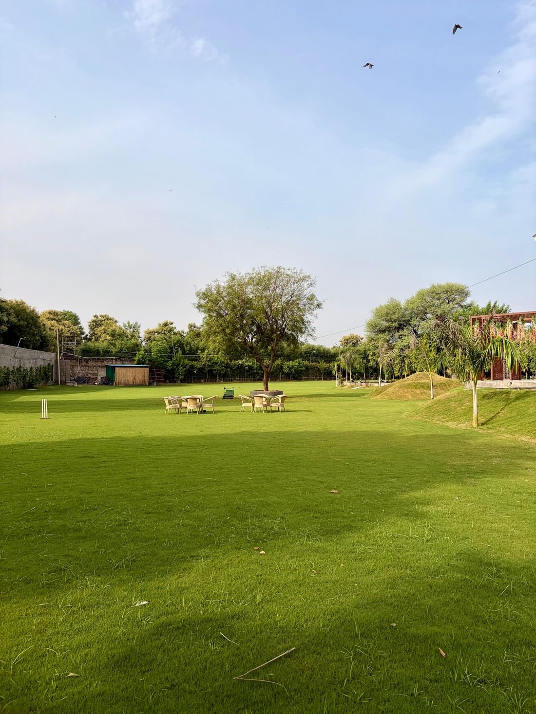 The lawns and grounds at Palmwood Hills — 2