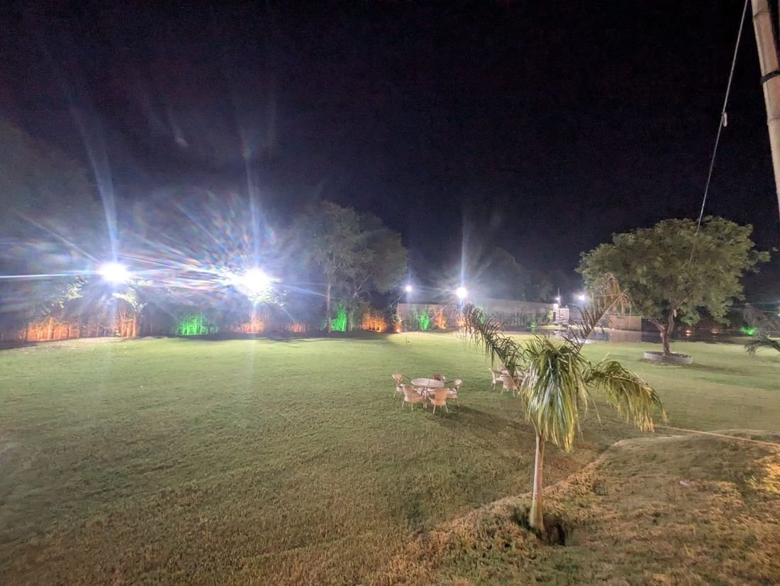 Open lawn and mature trees at Palmwood Hills