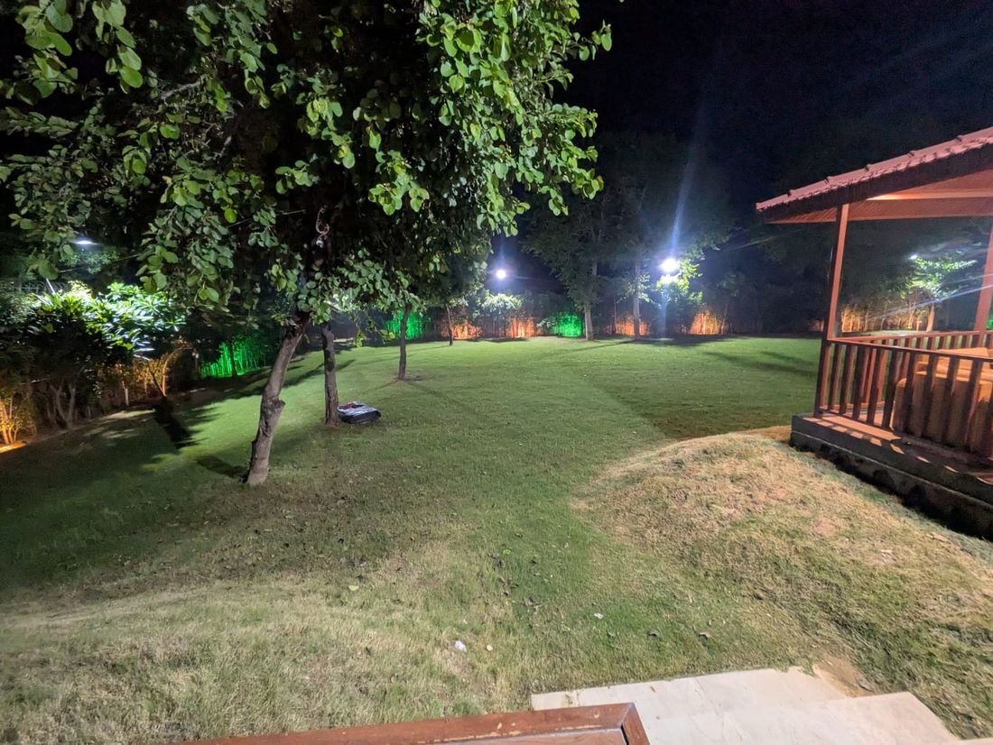 The lawns and grounds at Palmwood Hills — 6